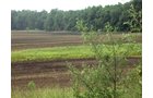 Property photo 1 - 120 Acres Offered in 9 Tracts - Real Estate & Personal Property Auctions